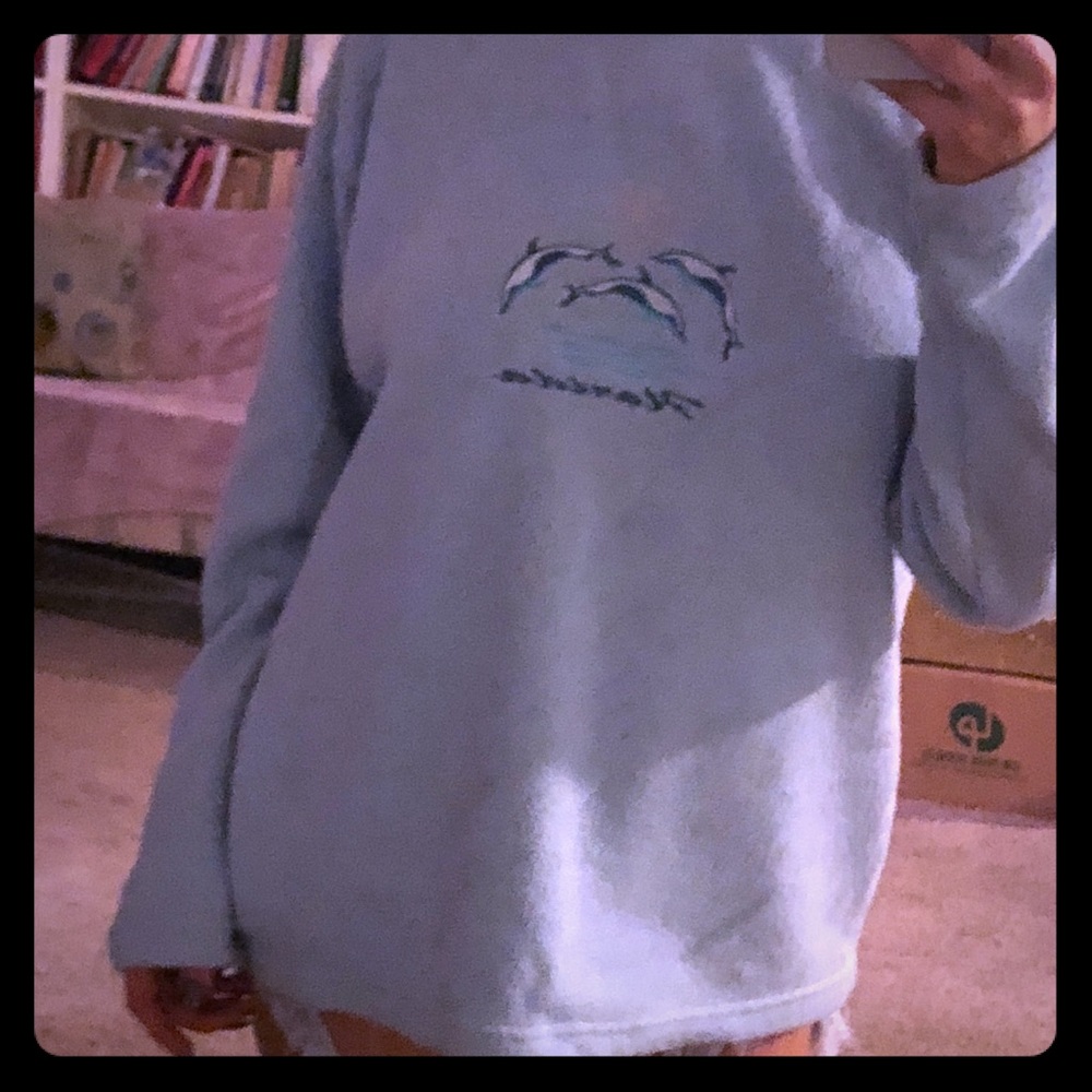 🐬 Baby Blue Florida Dolphin Pullover Sweater